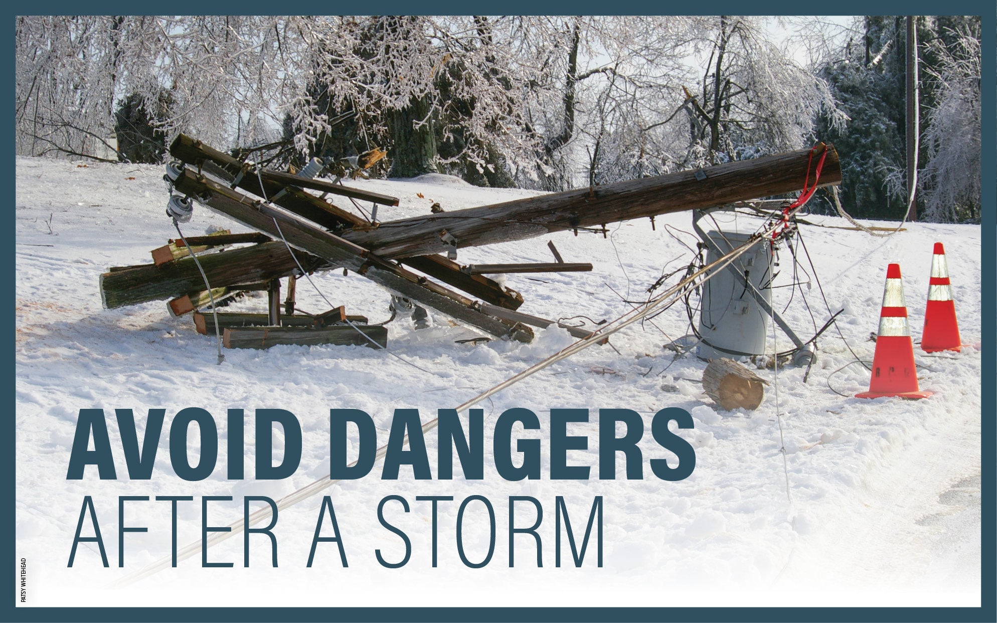 downed power lines safety